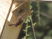 DSCN9203.jpg