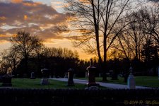 DSC_8926.jpg