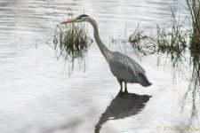 DSC_8946.jpg