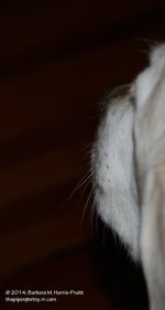 122 Jenny-140502_01.jpg