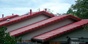 Roof Line LOL.jpg