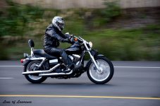 Sleek Harley LOL.jpg