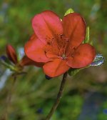 _DSC3574-Edit.jpg