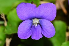 DSC_0617_edited.jpg
