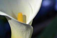 DSC_0222.jpg