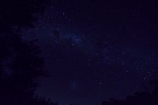 DSC_0927.JPG