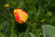 DSC_0660_edited.jpg
