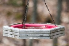 DSC_8964.jpg