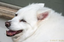 DSC_8969.jpg