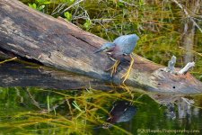 DSC_1814.jpg