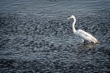 Day124-3.jpg