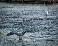 Day124-4.jpg