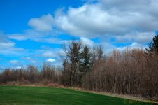 DSC_8978_79_80_81_82_tonemapped.jpg