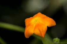 SHM_3910.jpg