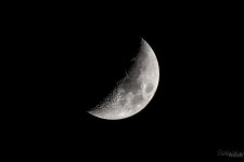 Day125-4.jpg
