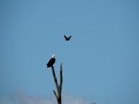 DSCN9356.jpg