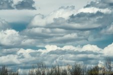 DSC_9001.jpg