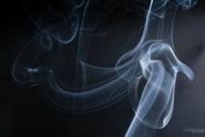 Day126-1.jpg