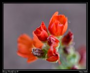 DSC_7187Web.jpg