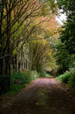 Autumnal Entance.jpg
