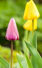 _DWE2782-V-Edit.jpg