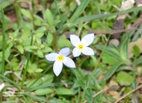 128 Bluets-140508_01.jpg