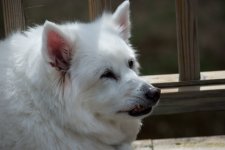 DSC_9071.jpg