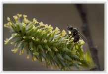 DSC_0194-Modifier.jpg