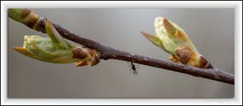 DSC_0127.jpg