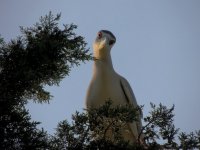 DSCN9529.jpg