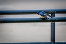 Day128-1.jpg