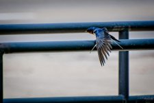 Day128-2.jpg