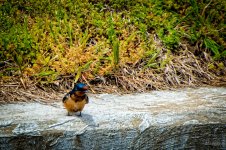 Day128-3.jpg