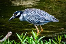 Day128-4.jpg
