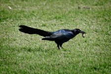 Day128-5.jpg