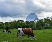 Jodrell Bank 2.jpg