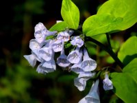 DSCN9515.jpg