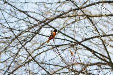 DSC_2120.jpg
