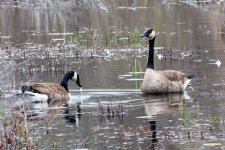 DSC_9079.jpg
