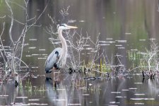 DSC_9083.jpg