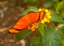DSC_0655.jpg