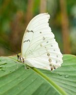 DSC_0656.jpg