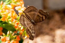 DSC_0800.jpg