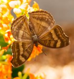 DSC_0801.jpg