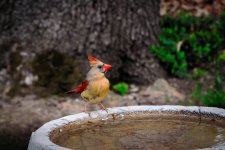 DSC_4776.jpg