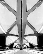 Calatrava Bridge Vertorama B&W.jpg
