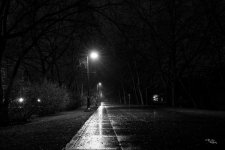 The Rainy Path.jpg