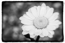 Day130-1.jpg