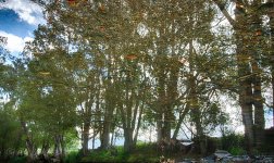 DSC_8806_HDR_webshot.jpg