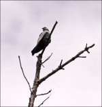 DSC_6034.jpg